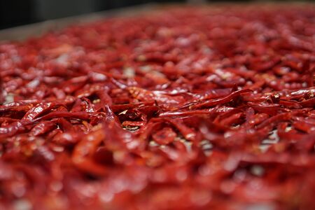 Dried red pepper. National food of Sri Lanka and India. Sale of pepper and spices. Stock photoの写真素材