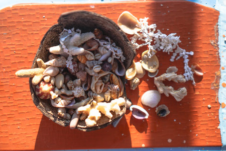 Variety of oceanic and seashells on the hand in the rays of the sun. Summer background for design....