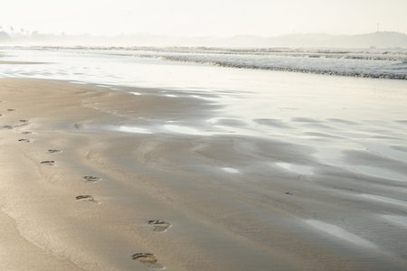 Footprints of bare feet on the sand of the beach. The coast of the ocean, the sea. Tourist...