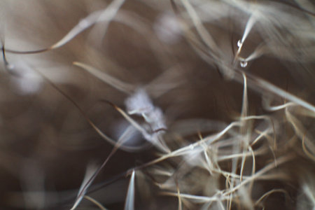 Beautiful abstract background for design. Composition with lines and blur.の写真素材