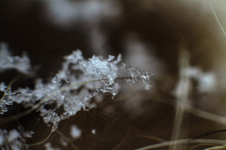 Beautiful abstract background for design. Composition with lines and blur.の写真素材