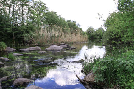 Beautiful river in the highlands in summer. Lake in an ecologically clean park reserve on a background of hills. A pretty landscape in the spring. Stock photo for designの写真素材