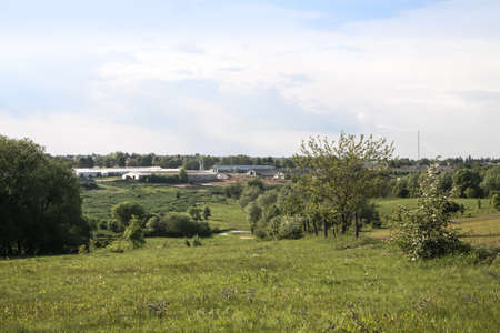Beautiful rural landscape with a farm building on the background. Eco products in nature. big cowsheds as a business. Stock theme for designの写真素材