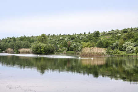 Beautiful river in the highlands in summer. Lake in an ecologically clean park reserve on a background of hills. A pretty landscape in the spring. Stock photo for designの写真素材