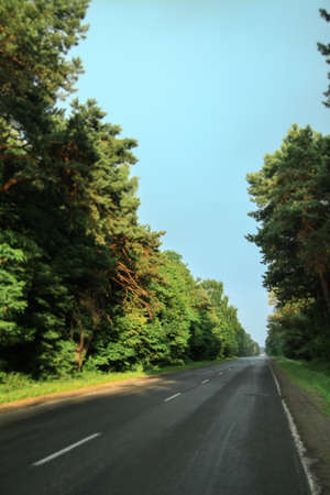 Road in the forest in defocus on the background of trees. Stock image for design.の写真素材