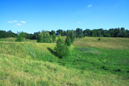 Beautiful summer landscape of nature countryside. Green vegetation of grass and trees with hills. Stock photo for designの写真素材