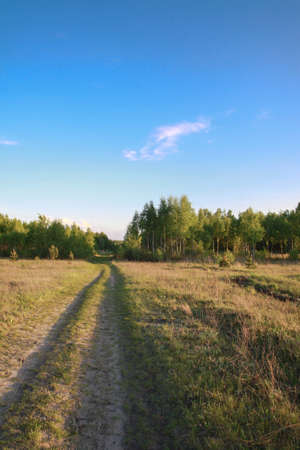 Field in the road among the hills. Landscape in nature in the reserve in the park. Stock photo backgroundの写真素材
