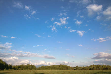 Beautiful summer landscape of nature countryside. Green vegetation of grass and trees with hills. Stock photo for designの写真素材