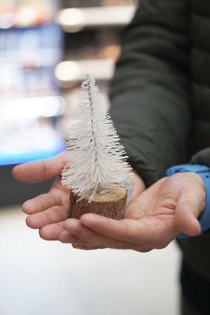 Beautiful Christmas tree toy in the hands of a man. Christmas present 2021の写真素材
