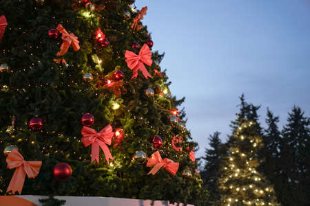 Beautiful green Christmas tree for the new year in the guiards and city lights.の写真素材