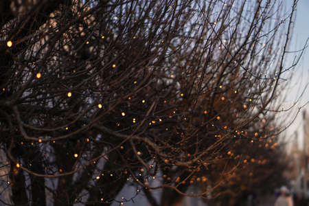 Beautiful street view with garlands and bokeh on the background. Christmas background for design. New Year's atmosphere in Europeの写真素材
