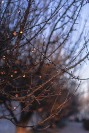 Beautiful street view with garlands and bokeh on the background. Christmas background for design....
