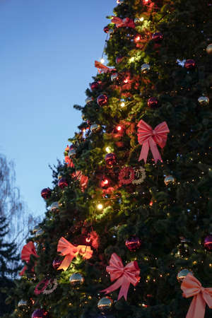 Beautiful green Christmas tree for the new year in the guiards and city lights.の写真素材