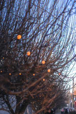 Beautiful street view with garlands and bokeh on the background. Christmas background for design....