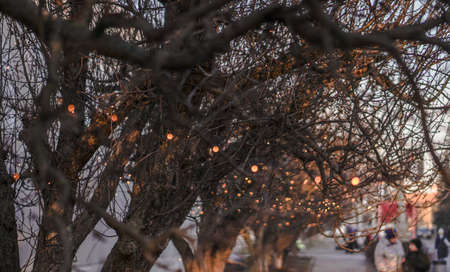 Beautiful street view with garlands and bokeh on the background. Christmas background for design. New Year's atmosphere in Europeの写真素材