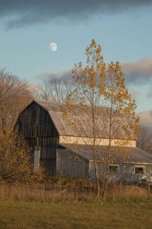 An old gambrel roofed barn in the autumn with yellow leaved aspens and the moon rising.の写真素材