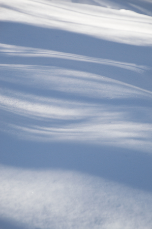 Abstract. Trees casting blue shadows in the fresh snow.  Image has blue undulating lines and shadows in the fresh snow in the foreground.の写真素材
