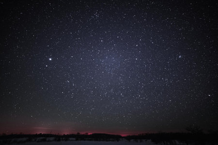 Rural Winter Landscape at night with trees and stars