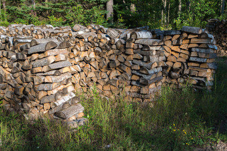 Cut split stacked firewood for winter background close-up in summertime while still golden
