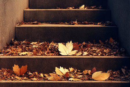 Autumn leaves on the stairs with filter effect retro vintage style.の素材
