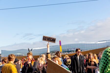 Climate Strike,Fridays for Future,Climate demonstrations in helsinki finlandのeditorial素材
