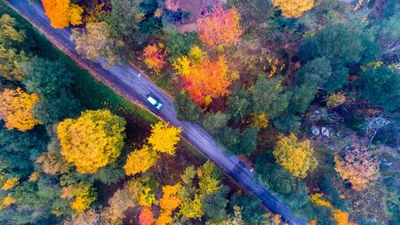 Landscape in autumn with colorful maple trees and leaves. Autumm Background.の写真素材