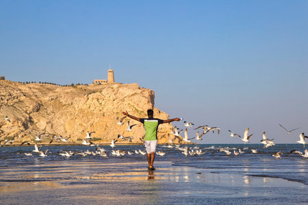 Al Sawadi, Oman. Circa February, 2020. A man enjoys his time at the beach as a flock of seagulls take flight.のeditorial素材