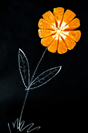 A flower made of chalk and a fresh orange. Vertical.の写真素材
