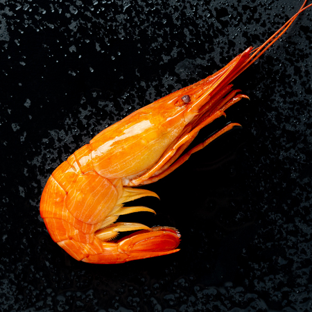 Shrimp in a shell on a wet stone backgroundの写真素材