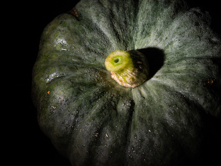 Big green pumpkin in the darkの写真素材