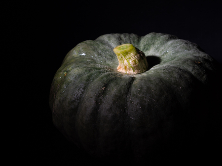 Big green pumpkin in the darkの写真素材