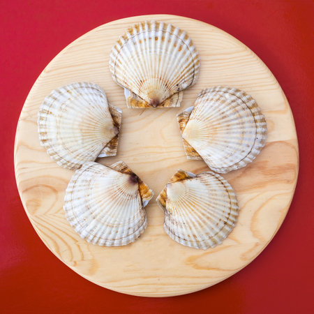 Scallop cockleshell on a round wooden board on a red background