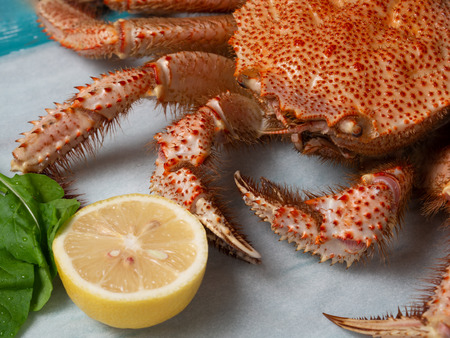 Whole boiled crab with lemon and greens. Horsehair crab.の写真素材