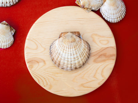 Scallop cockleshell on a round wooden board on a red background