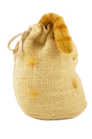 Bag with a cat inside and a tail with outsideの写真素材