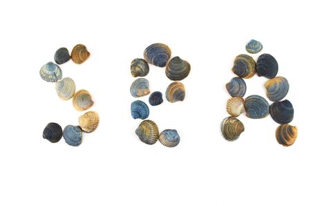Word of the shells are laid out on a white backgroundの写真素材