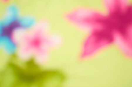 Unusual colorful bright flowers as fuzzy blurred backgroundの写真素材