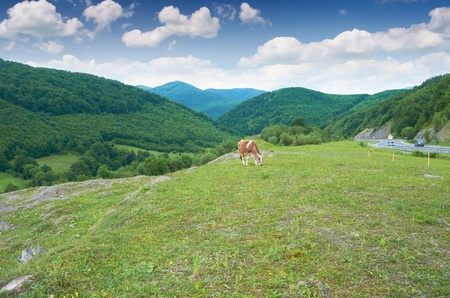 Beautiful mountain landscape on a summer day in Carpathiansの写真素材