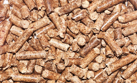 Compressing sawdust oval as natural litter