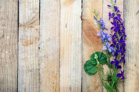 Wild flowers on wooden boardsの写真素材