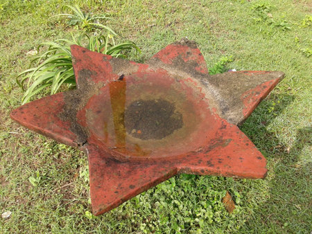 A lotus shower in the royal garden