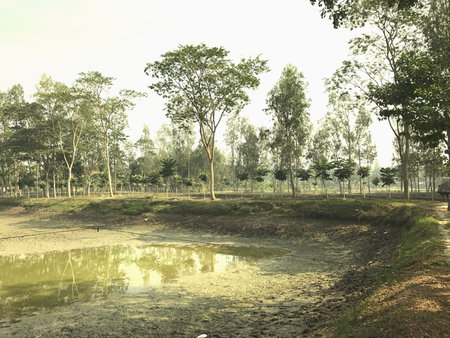 Natural scenery of a village
