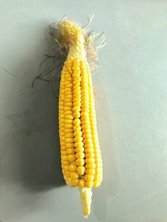 A cob of cornsの素材