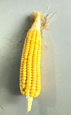 A cob of cornsの素材