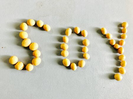 Soybean seedsの素材