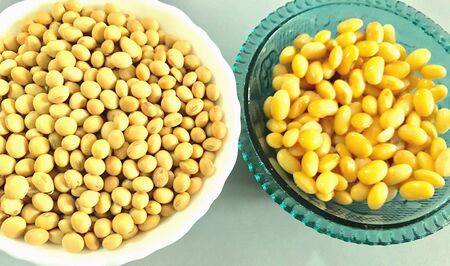 Soybeans before soaking a d after soakingの素材