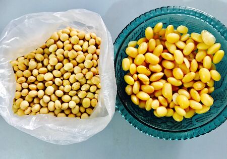 Soybeans before and after soakingの素材