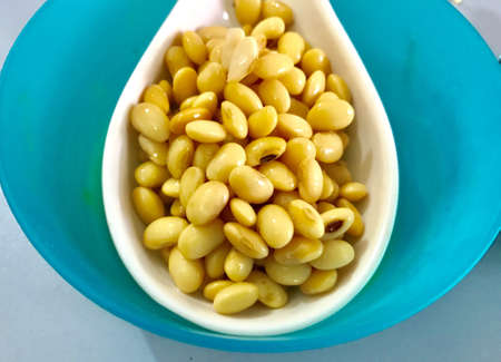 A spoonful of soybeansの素材