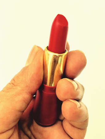 A lipstick in the handの素材