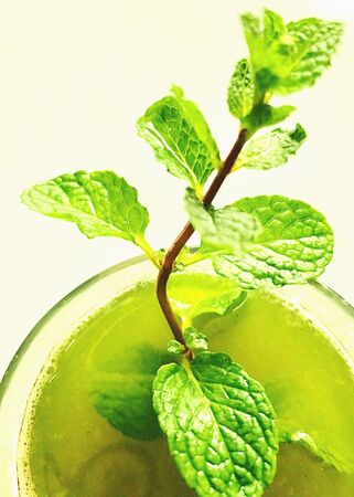 A glass of peppermint juice and a bunch of peppermint plantsの素材